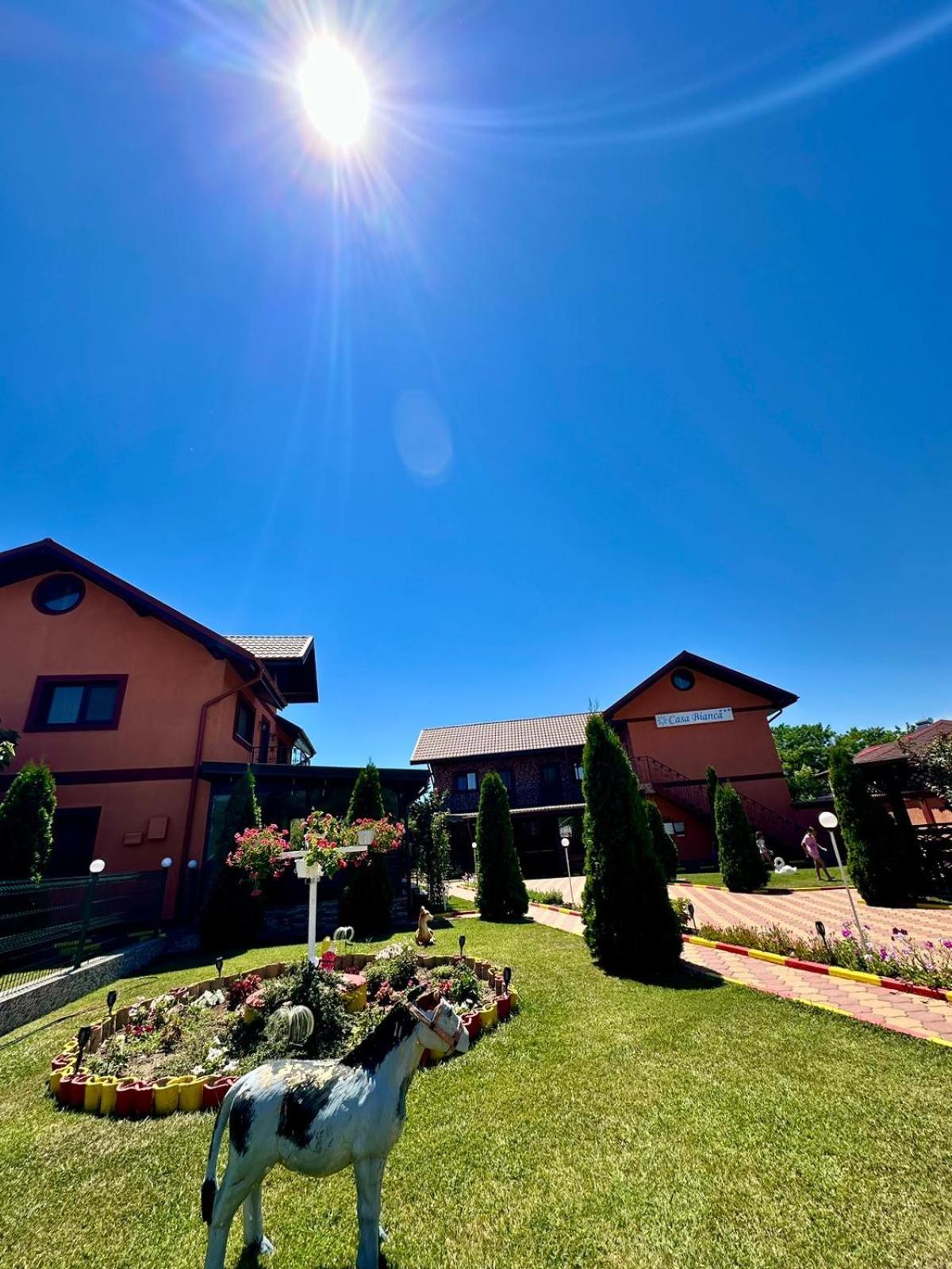 Hotel Pensiunea Bianca Corbu  Esterno foto