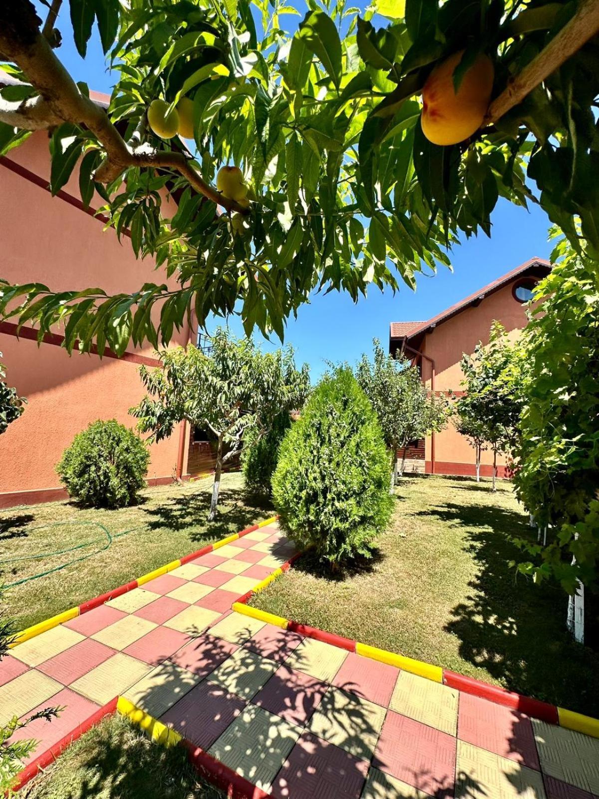 Hotel Pensiunea Bianca Corbu  Esterno foto